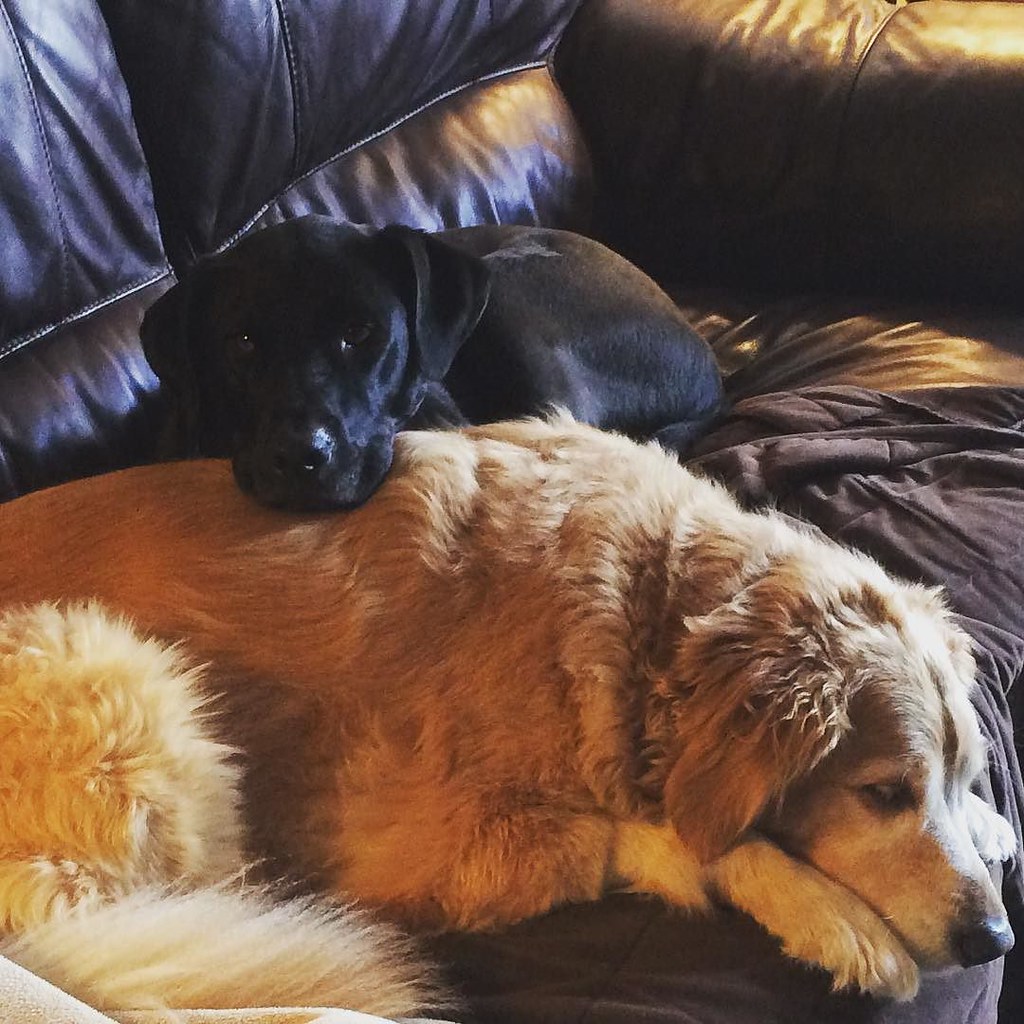 Carter is using Gabby as a pillow.