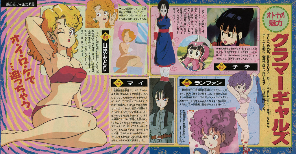Akira Toriyama The World Anime Special_page010-011 - booklet
