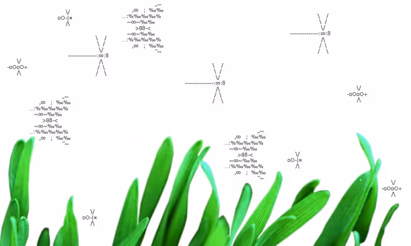 Asci design example