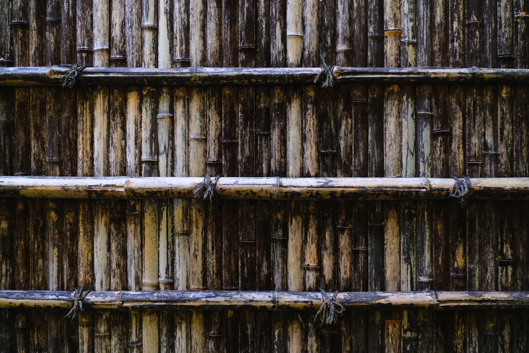 Bamboo fence as a peaceful boundary highlighted in a serene garden.