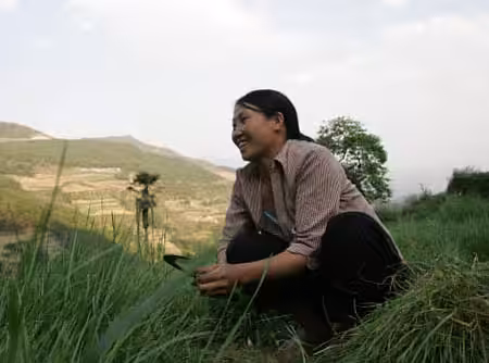 Farm woman cuts grass for livestock feed