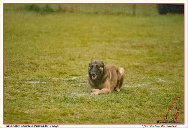 First Von King Von Backdraft BBM M RINALDI Valerie -6141-17
