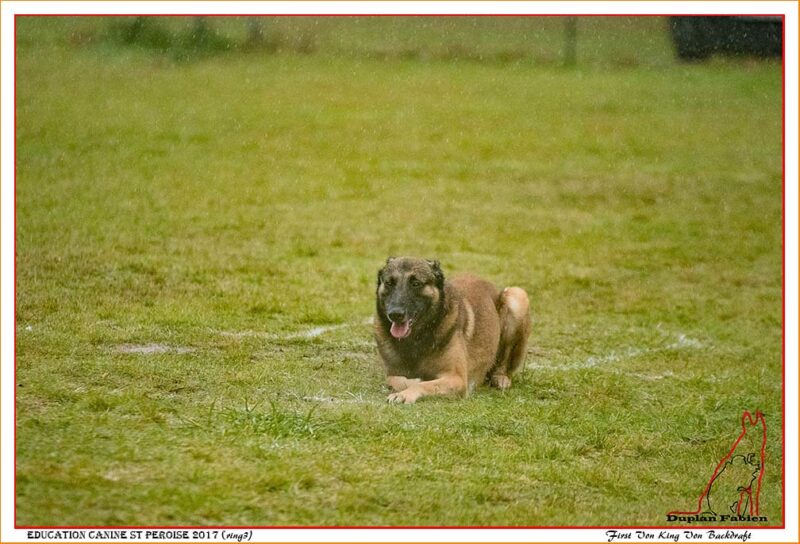 First Von King Von Backdraft BBM M RINALDI Valerie -6141-17