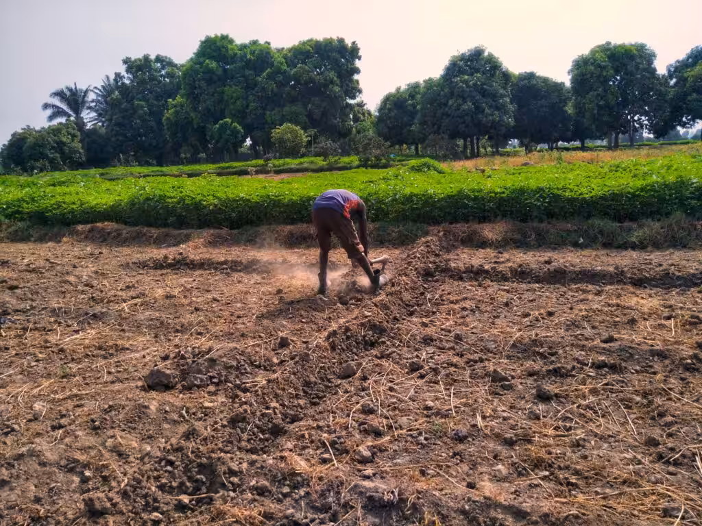 Land clearing