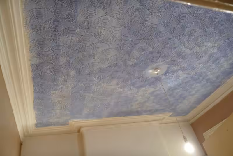 The Artex Ceiling is going...