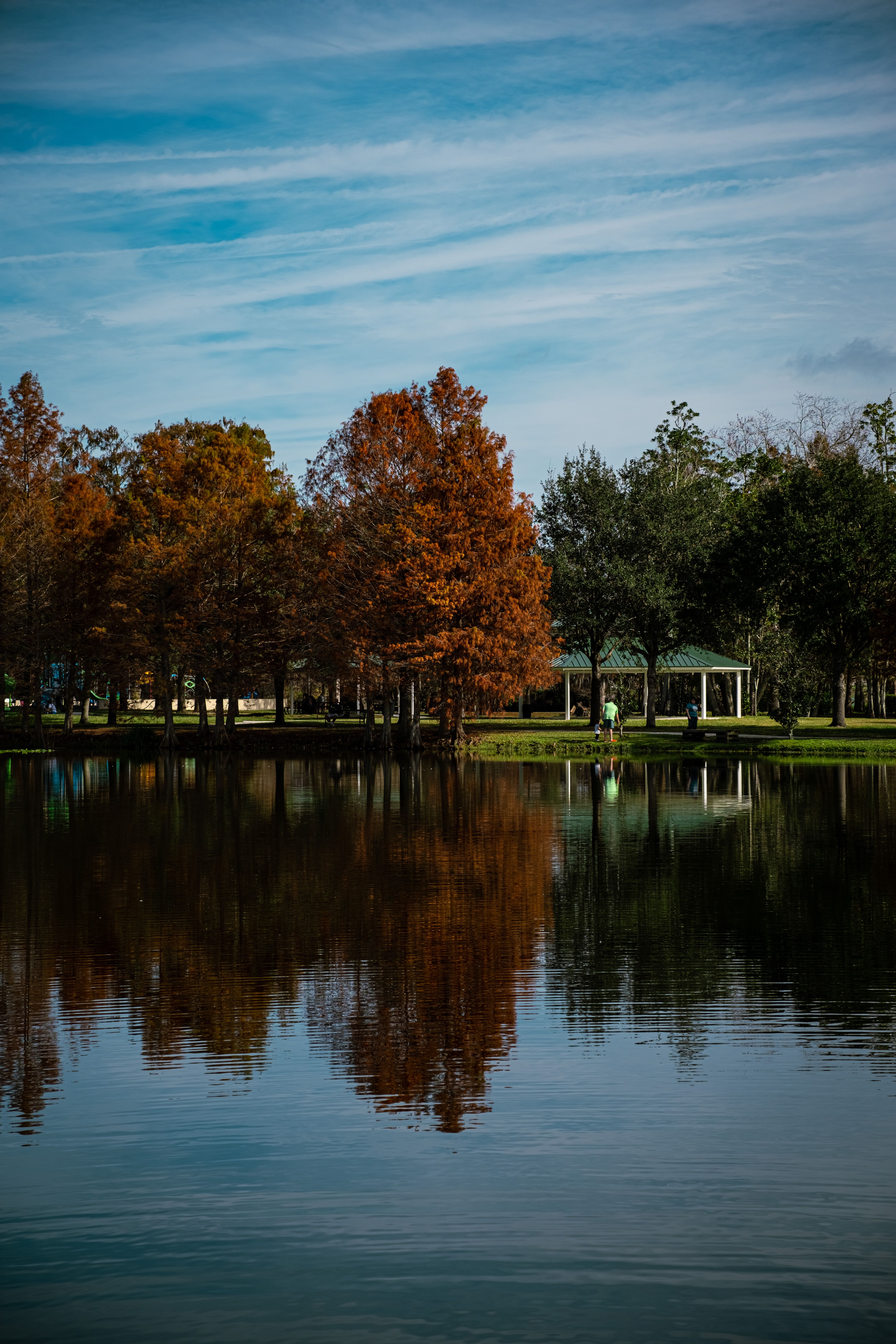 Picturesque autumn scene with trees reflecting in a calm lake, showcasing vibrant fall colors.