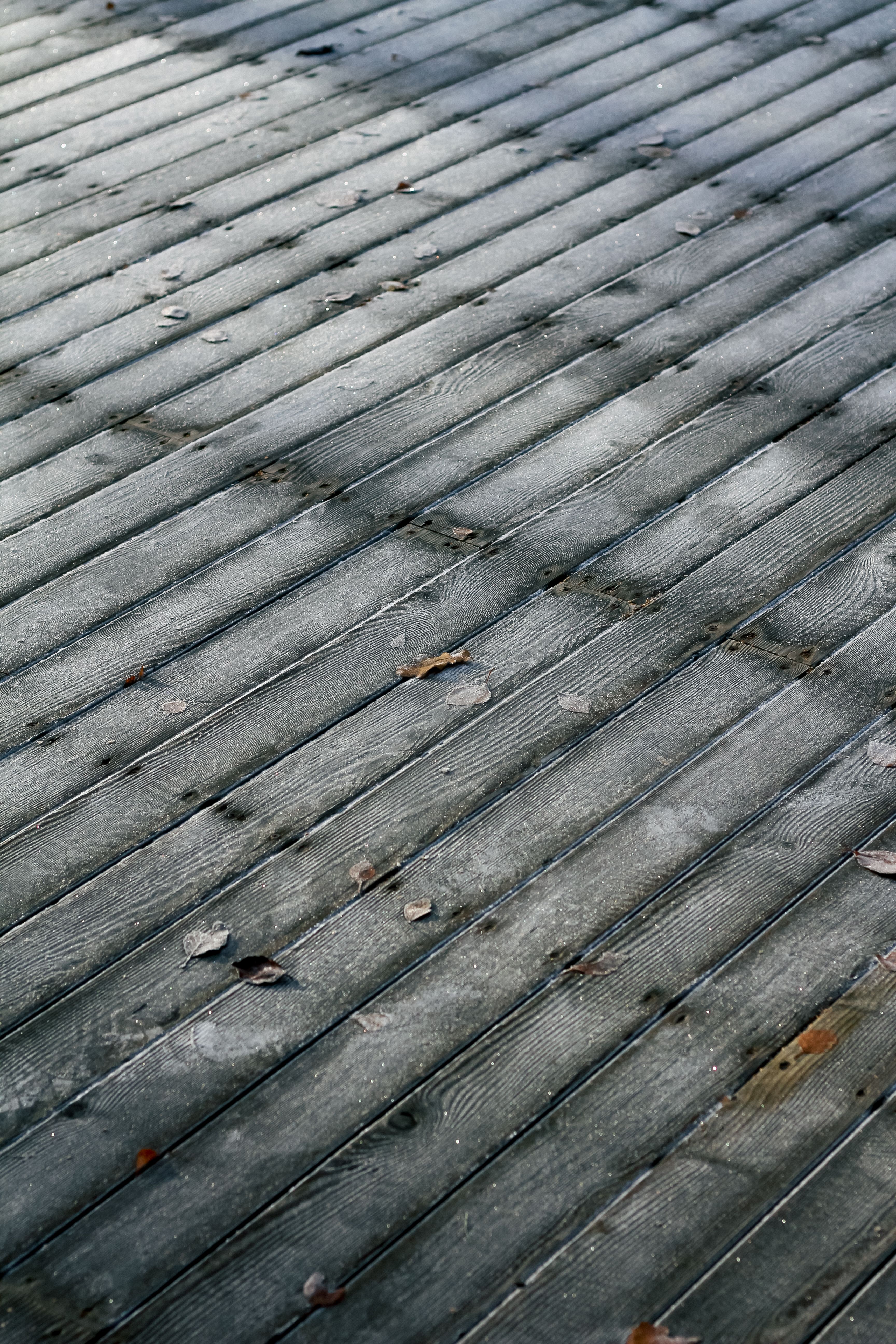High angle view of textured wooden planks outdoors, featuring natural patterns and autumn leaves.