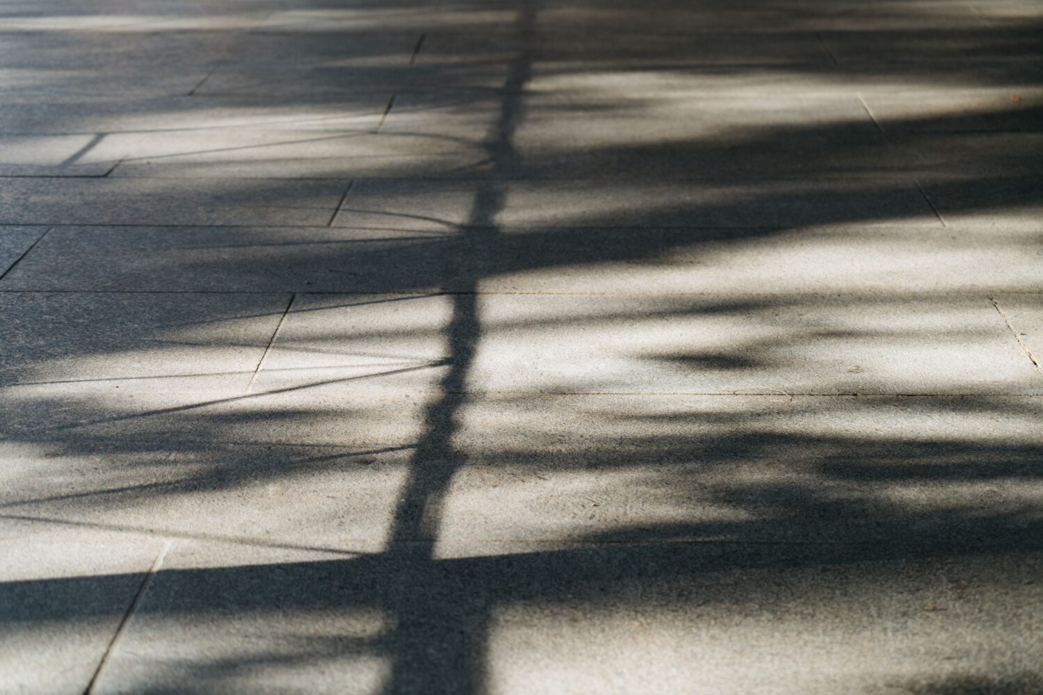 Sunlit shadows creating patterns on a concrete pavement in an urban setting.