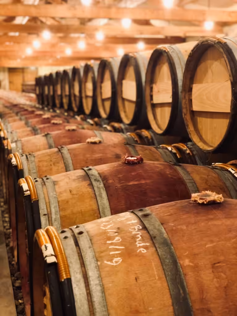 A warm interior view of a winery storage room with rows of stacked oak barrels.