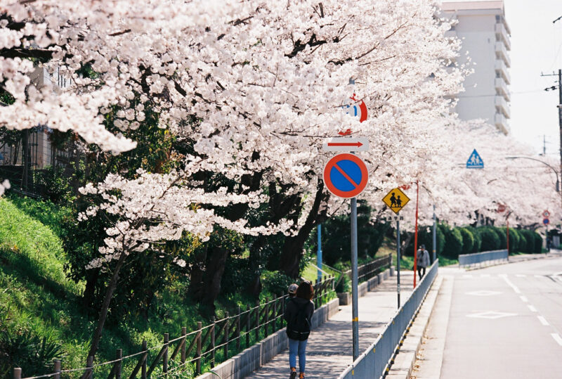 A school zone backdrop used during the filming of Severance, representing unique urban settings