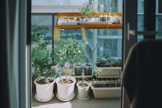 small balcony garden design ideas Pinterest inspiration