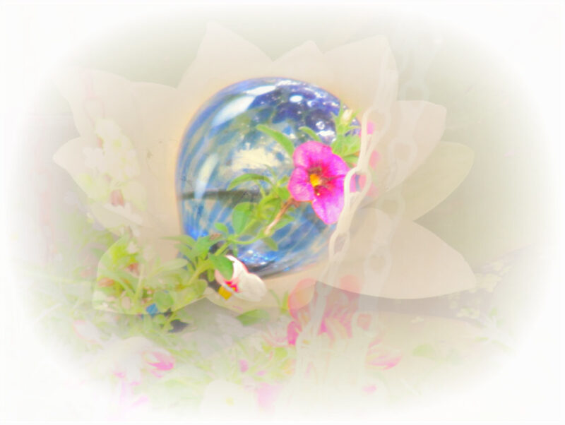 Water globe for watering plants
