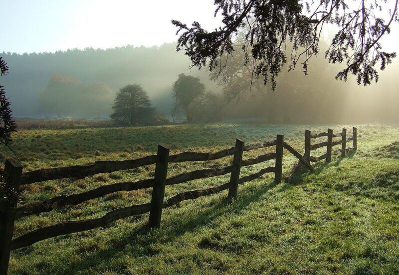 Fence