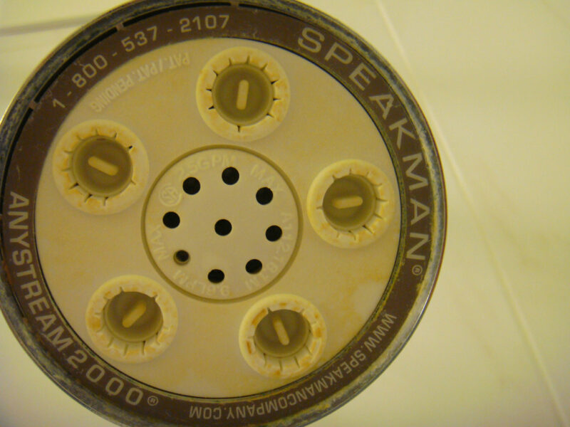 Speakman Anystream 2000 shower head