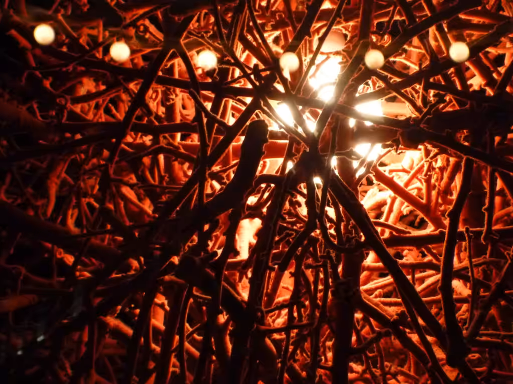Red Neural Network (strange hanging art in clothing store)