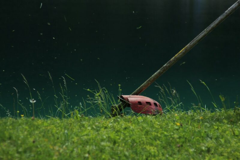 brown and black animal plush toy on green grass