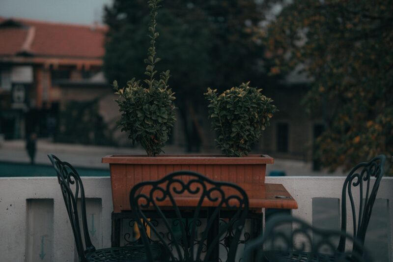 Vibrant flower pots arranged neatly on wooden racks against a textured wall, ideal for garden enthusiasts.