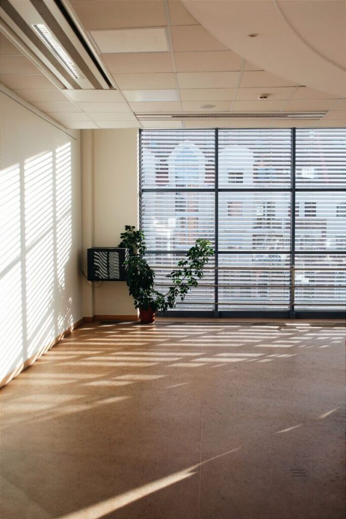 A sunlit office corner with blinds casting shadows and a potted plant, creating a serene atmosphere.